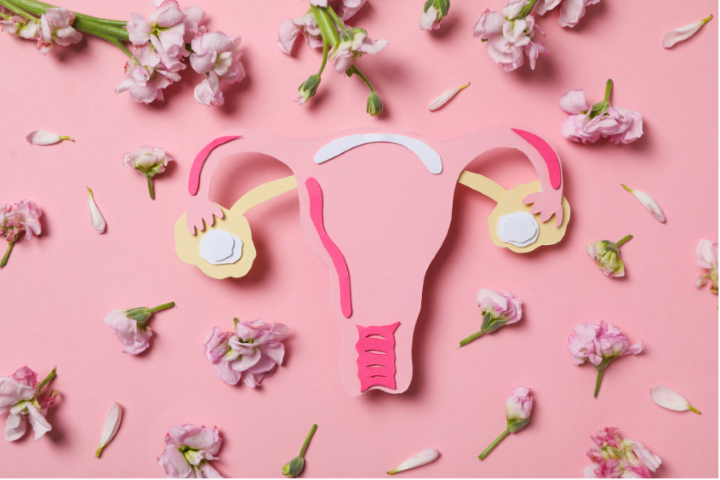 Povešena maternica in z njo povezane težave