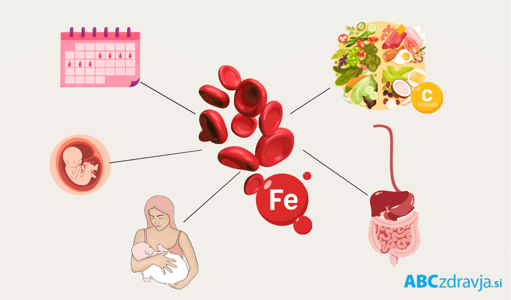 Vzroki za pomanjkanje železa pri ženski