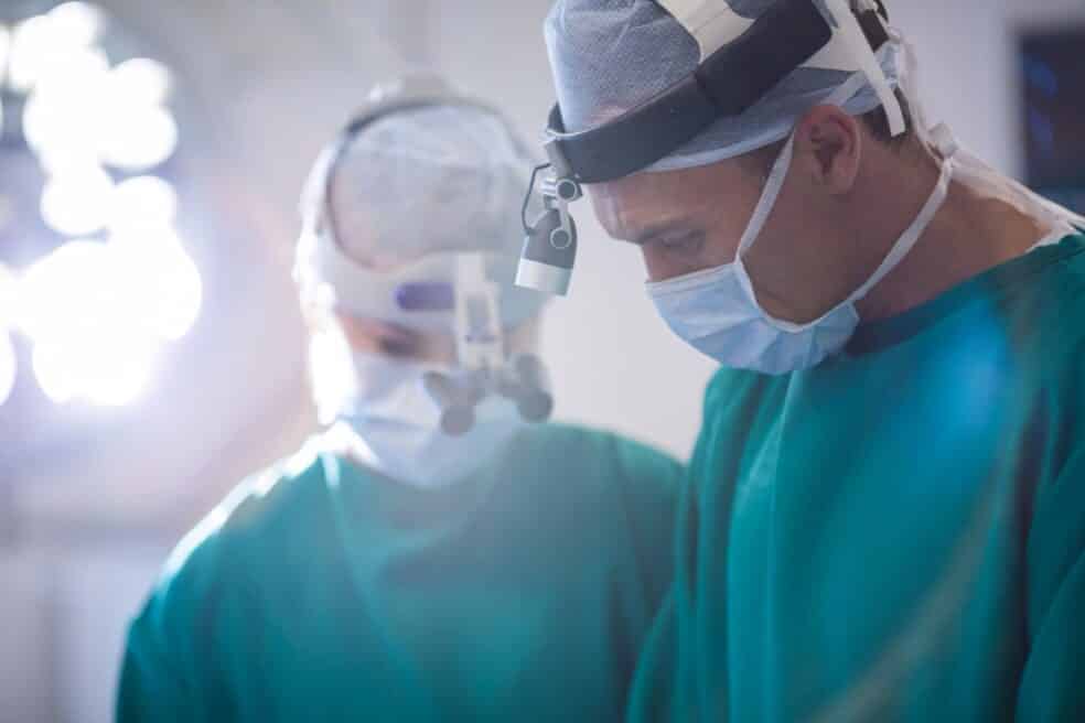 Polžkov vsadek, ki omogoča posodobitve