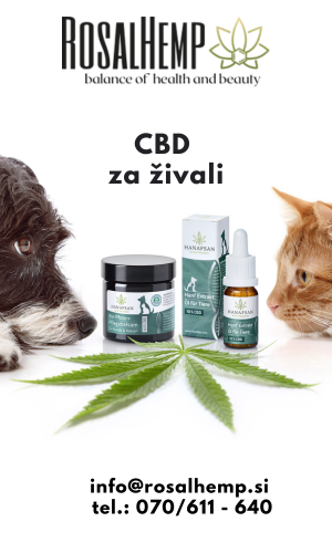 GLAVNI – Rosalhemp – področja