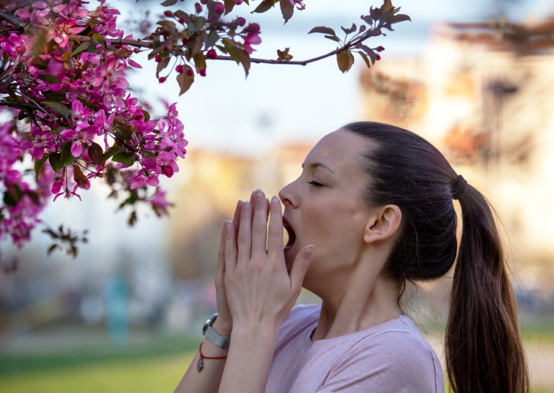 alergijski rinitis, sezonska alergija